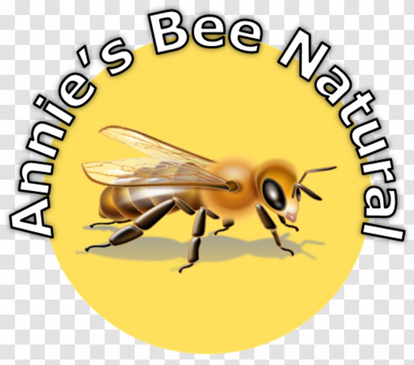 Honey Bee Brighton Holistics Course Didactic Method Education - Teacher - Wax Transparent PNG