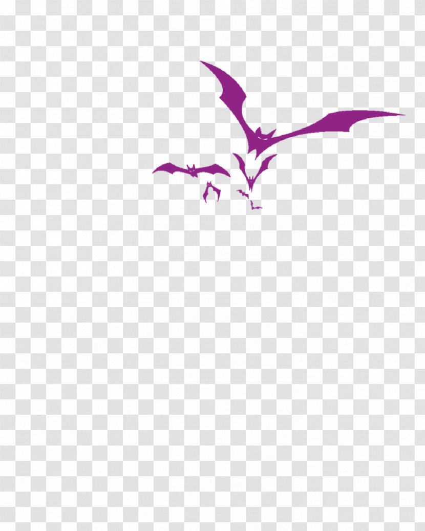 Bat Wing Development Icon - Beak - Purple Transparent PNG