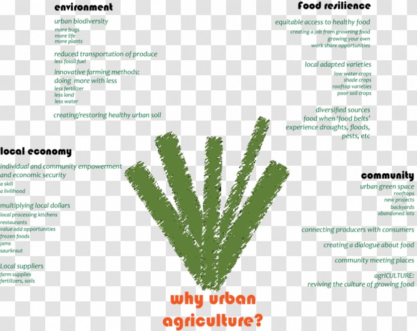 Grasses Brand Line Tree Font - Grass - Urban Farm Transparent PNG