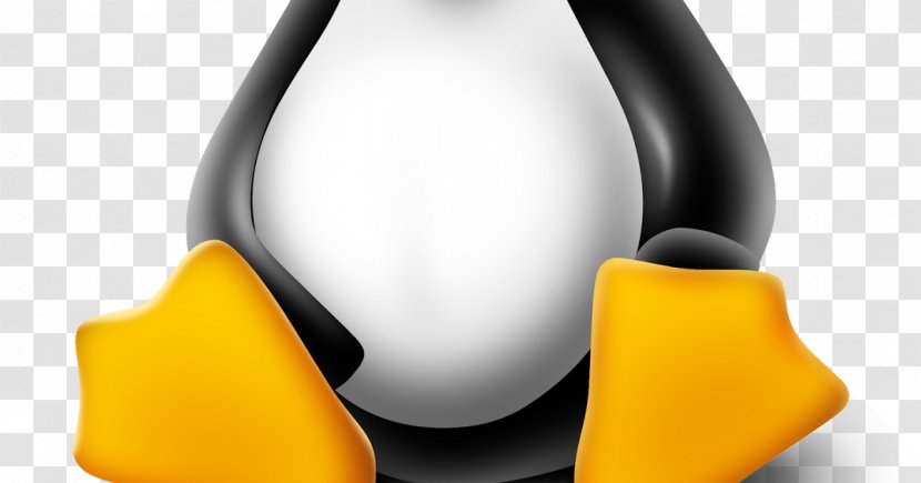 Linux Mint Snapshot Ubuntu Kernel - Virtualbox Transparent PNG