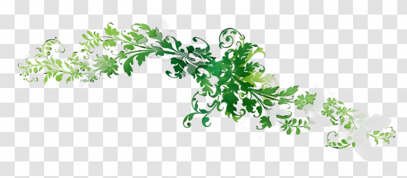 Leaf Plant Stem Line Font Flowering - Plants - Flower Transparent PNG