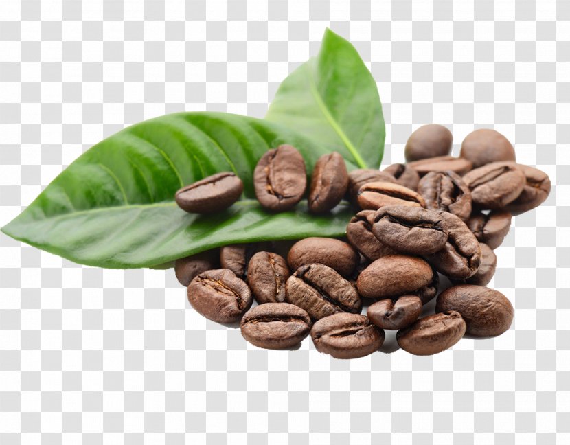 Arabica Coffee Espresso Kona Bean - Food - Beans Element Transparent PNG