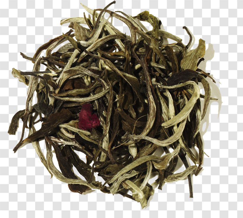 Earl Grey Tea White Green Darjeeling - Baihao Yinzhen - Leaves Transparent PNG