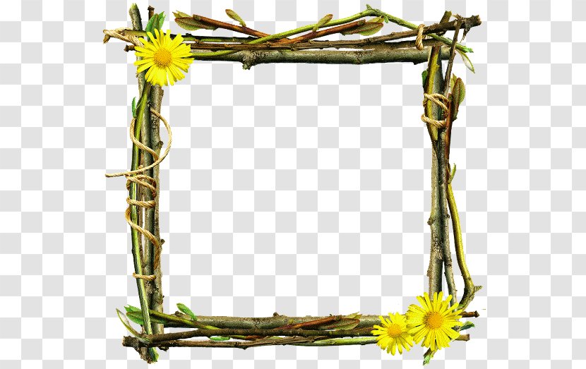 Stock Illustration Photography Image Shutterstock - Plant Stem - Abram Frame Transparent PNG