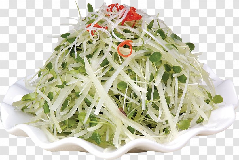 Namul Menma Bamboo Shoot Coleslaw - Sprouting - Green Cedar Seedlings Shredded Shoots Transparent PNG