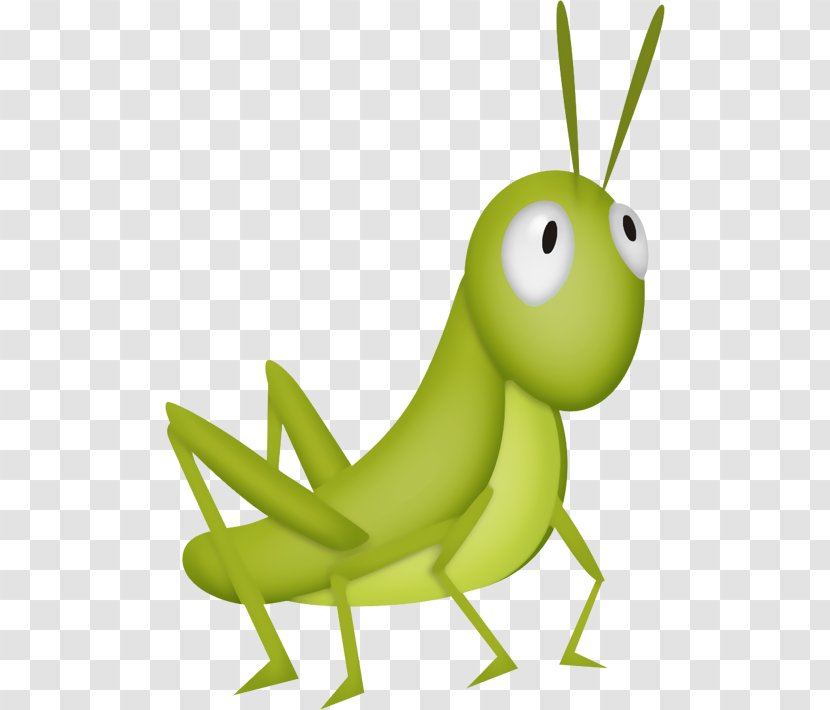 The Ant And Grasshopper Cricket Clip Art - Cuteness Transparent PNG