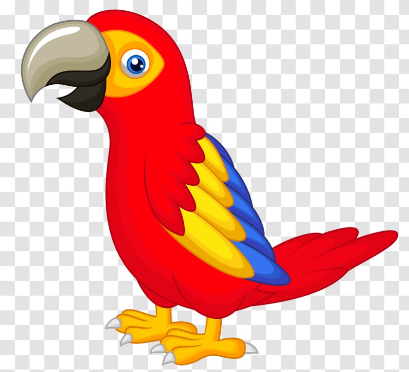 Parrot Talking Bird Clip Art - Perico - Hand-painted Transparent PNG