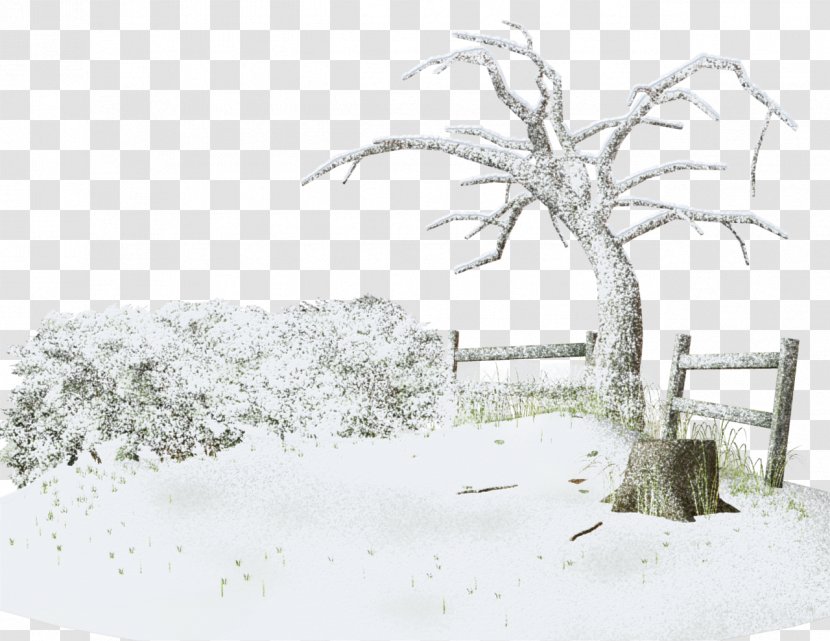 Photography Winter Snow - Fineart - Branch Stumps Transparent PNG