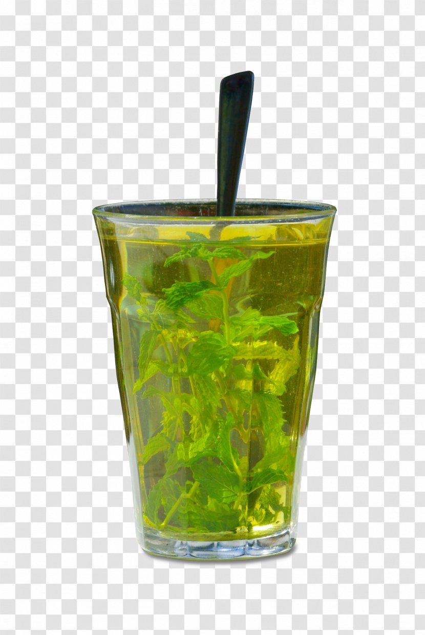 Home Remedy Health Disease Gallstone Food - Drink - Cup Mint Transparent PNG