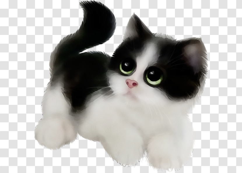 Ragamuffin Munchkin Cat American Wirehair Kitten Domestic Short-haired Cat Transparent PNG