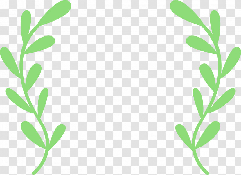 Plant Stem Branch Leaf Grasses Green Transparent PNG