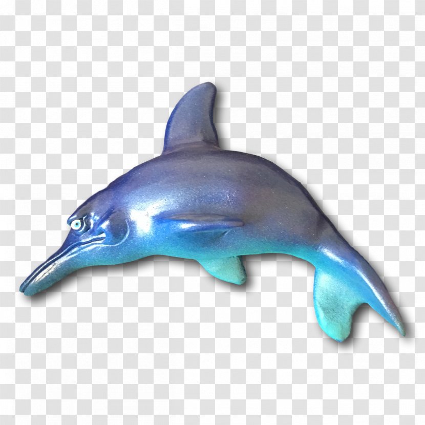 Common Bottlenose Dolphin Short-beaked Rough-toothed Tucuxi - Animal - Fish Transparent PNG