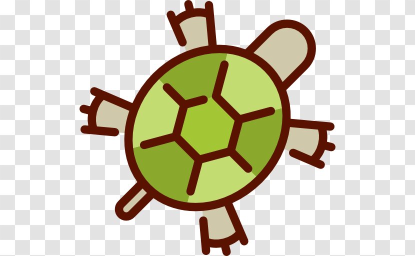 Turtle Euclidean Vector Download Icon - Shell - Little Green Transparent PNG