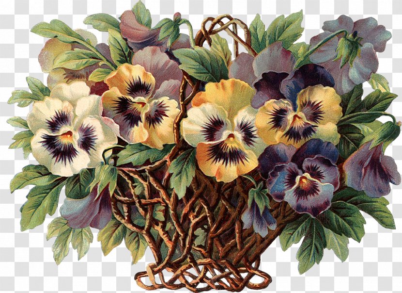 Flower Pansy Des Fleurs Et Leurs Symboles Vintage Clothing Clip Art - Garden Roses - Green Flowers Transparent PNG