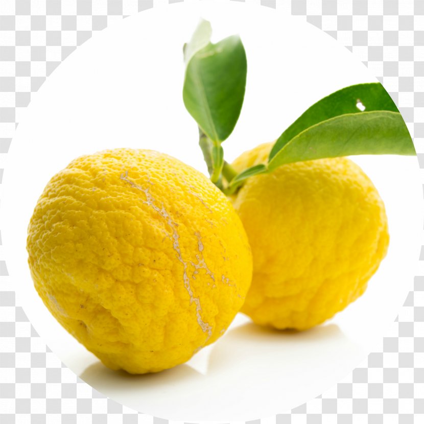 Citrus Junos Juice Citron Fruit Pomelo - Sudachi Transparent PNG