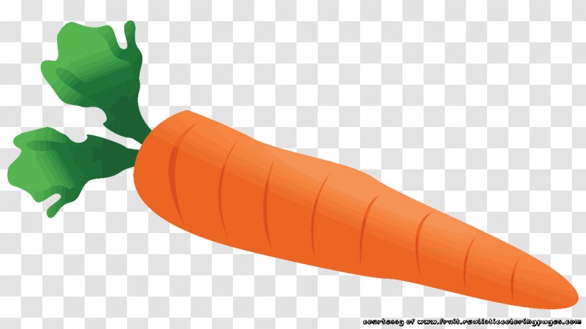 Baby Carrot Vegetable Clip Art - Fruit - Juice Transparent PNG