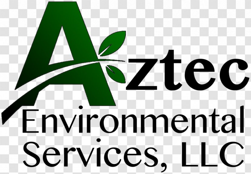 Service Asphalt Concrete Industry Architectural Engineering - Green - Livingclean Services Llc Transparent PNG