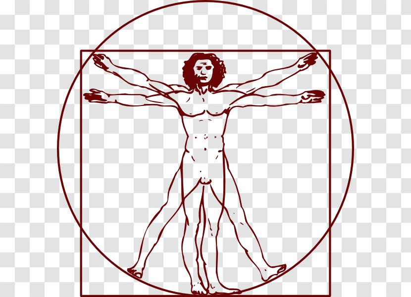 Vitruvian Man Clip Art - Flower - Anatomy Transparent PNG