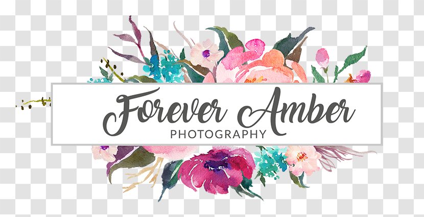 Animal Hospital Of Beulaville Calligraphy Art Photographer Photography - Flower - Amber Transparent PNG
