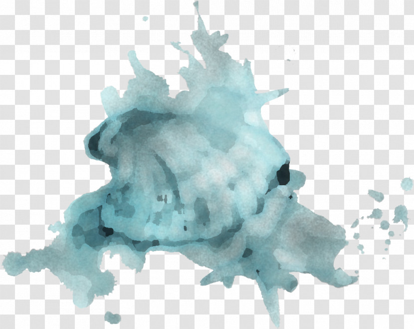 Animation Turtle Transparent PNG