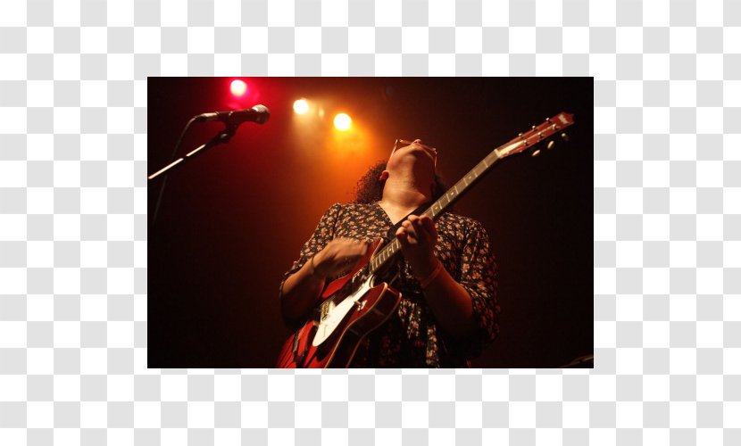 Slide Guitar Bassist Concert Singer-songwriter Microphone - Tree - Lead Vocals Transparent PNG