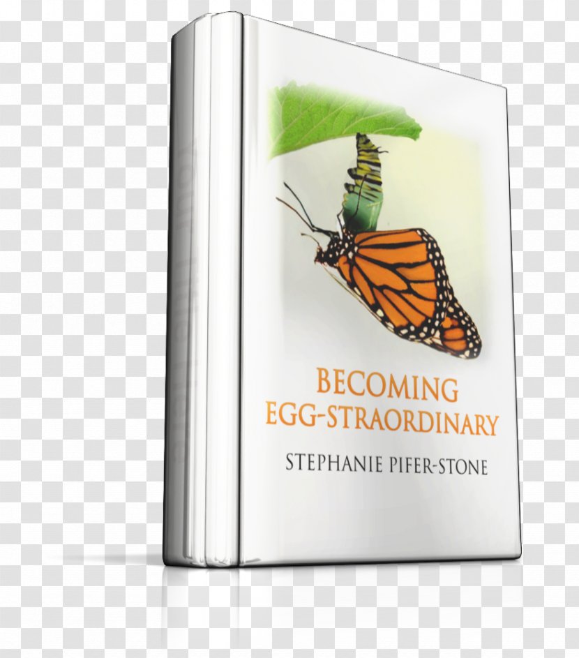 Becoming Egg-Straordinary Brand Book - Invertebrate Transparent PNG