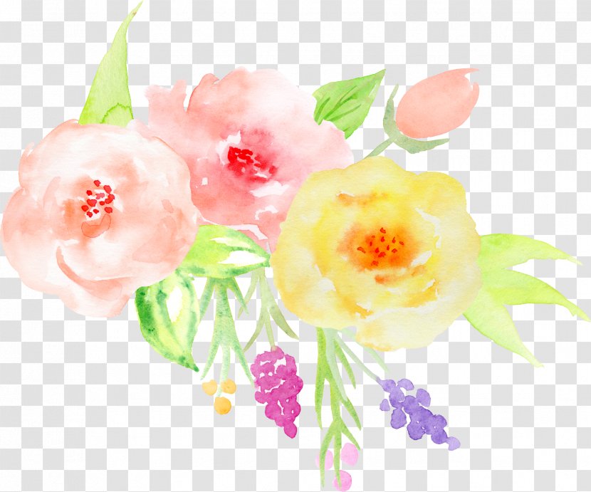 Hand-painted Watercolor Roses Decorative Elements - Pink - Flora Transparent PNG