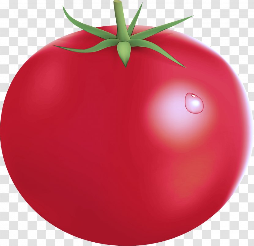 Tomato - Fruit - Food Nightshade Family Transparent PNG