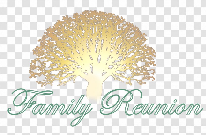 United States Family Reunion Genealogy Reunions Magazine - Surname - Tree Transparent PNG