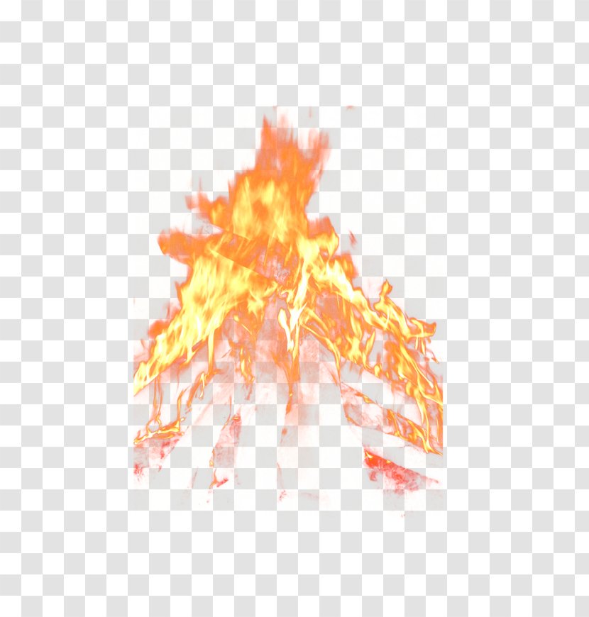 Light Fire Flame - Orange Transparent PNG