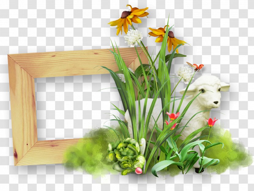 Sheep Paper Picture Frame Clip Art - Flower - Wood Transparent PNG