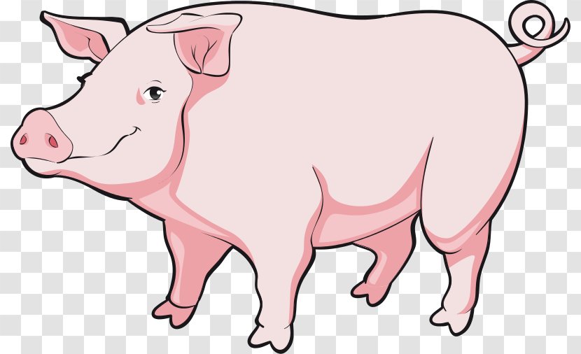 Pig Cartoon Clip Art - Drawing - Boar Transparent PNG