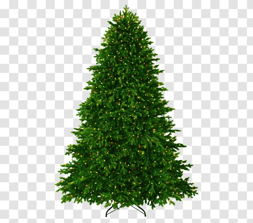 Clip Art Fir Image Desktop Wallpaper - Woody Plant - Christmastree Symbol Transparent PNG