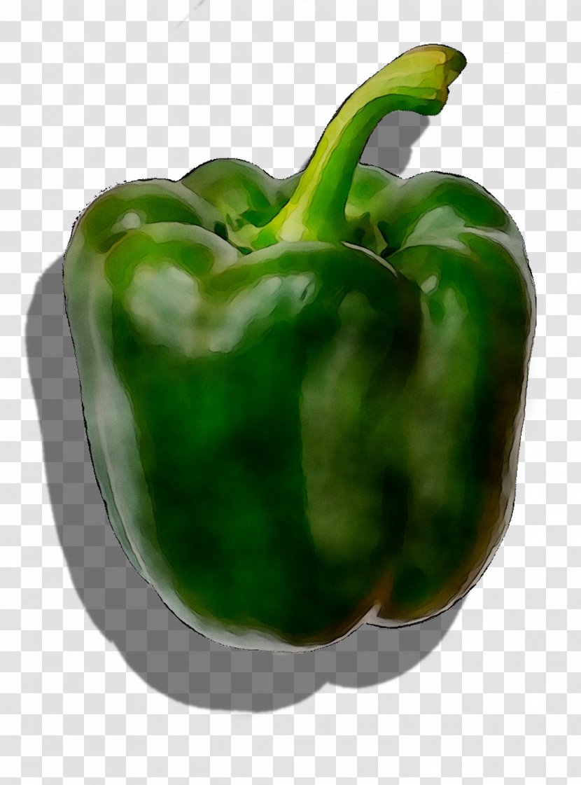 Serrano Pepper Bell Pasilla Chili Pimiento - Vegetable Transparent PNG