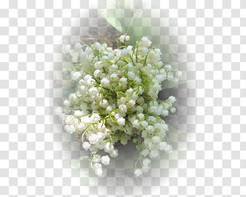 Floral Design Flower Bouquet 1 May Lily Of The Valley Transparent PNG