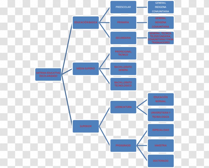 Hezkuntza Sistema Education Educativo Nacional Research Structure - Area - Experience Transparent PNG