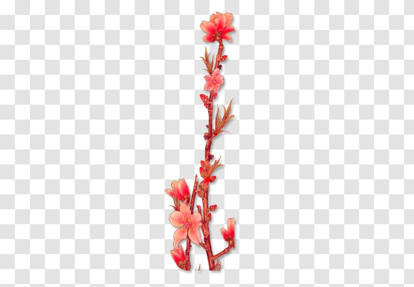 Flower - Leaf - Plum Transparent PNG