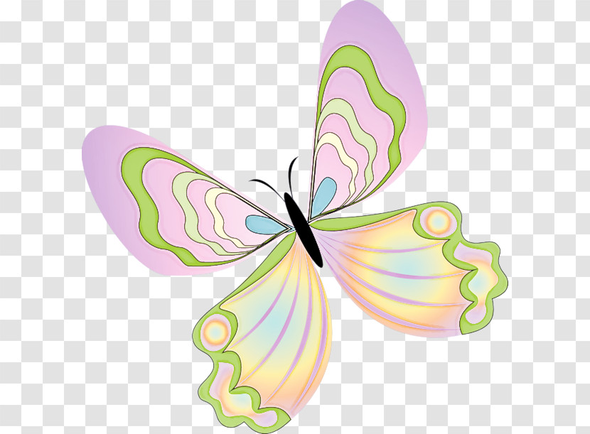 Butterfly Insect Pink Wing Moths And Butterflies Transparent PNG