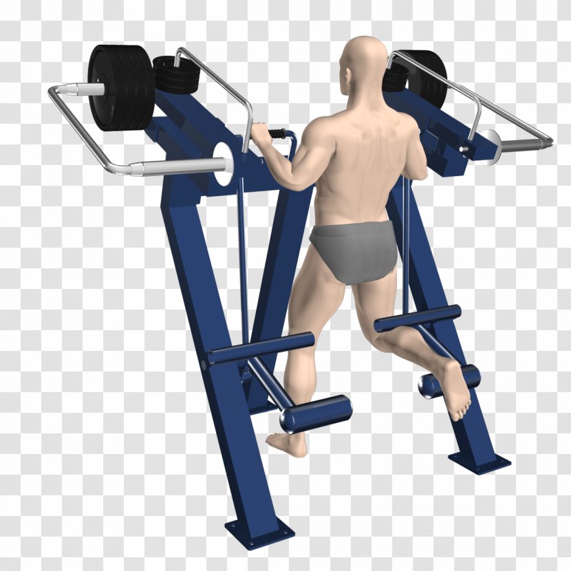 Physical Fitness Shoulder Bench Exercise Centre - Frame - Barbell Transparent PNG