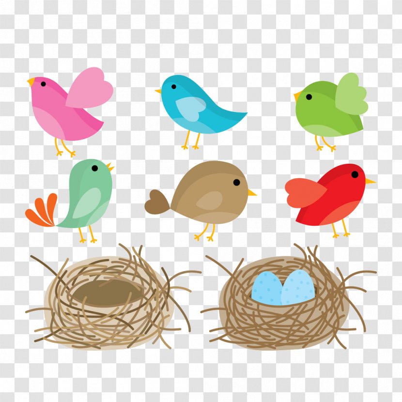 Bird Nest Drawing - Beak - Birds Transparent PNG