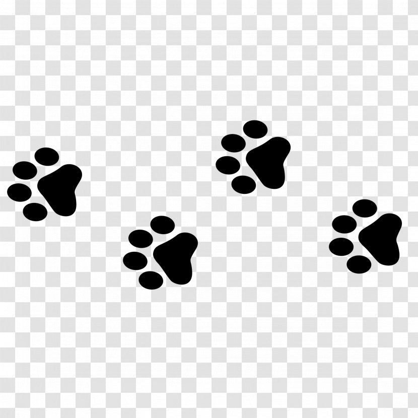 Dog Agility Paw Animal - Photography Transparent PNG