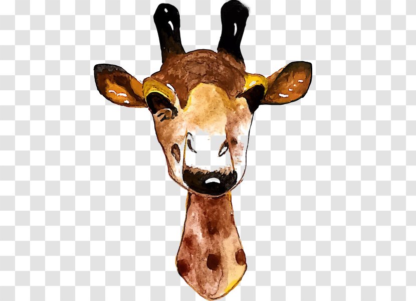 Deer Giraffe Giant Panda Elk - Snout Transparent PNG