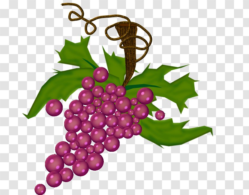 Grape Drawing - Plant - Tempting Grapes Logo Transparent PNG