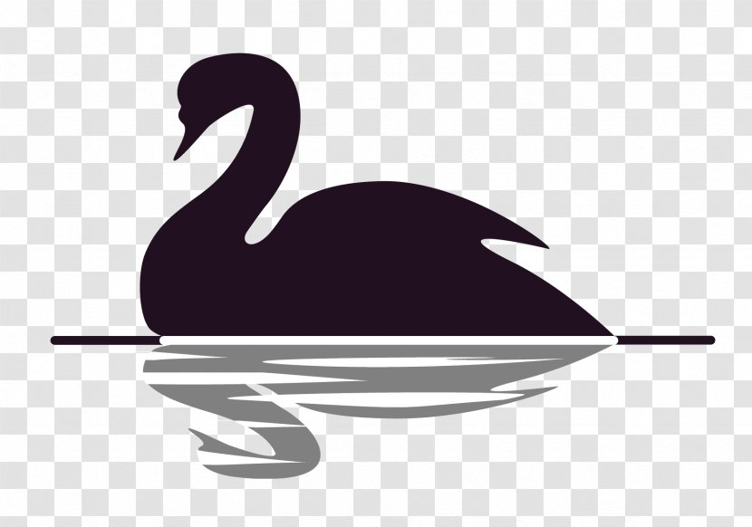 The Black Swan: Impact Of Highly Improbable Swan Theory Vedanta Clip Art - Waterfowl - Author Transparent PNG