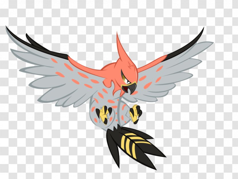 Bird Of Prey Illustration Legendary Creature Beak - Cartoon Transparent PNG