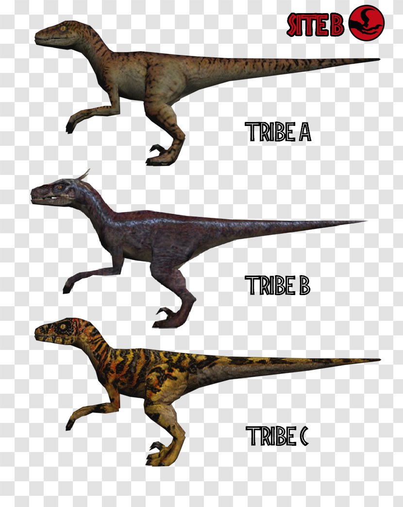 Velociraptor Grand Theft Auto: San Andreas Tyrannosaurus Trespasser Jurassic Park: The Game - Dinosaur - RaptorS Transparent PNG
