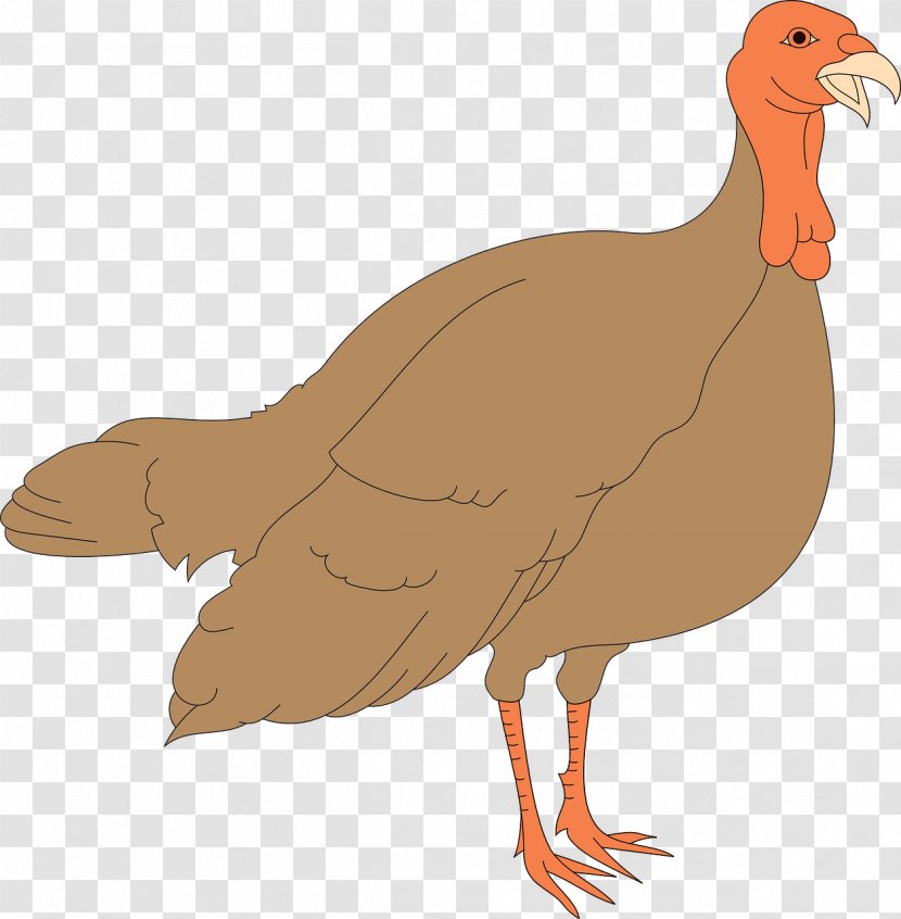 Black Turkey Thanksgiving Chicken Clip Art - Goose - Brown Transparent PNG