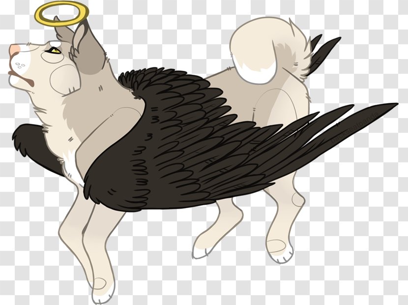 Hare Cat Dog Mammal Pet - Horse Like - Toran Transparent PNG