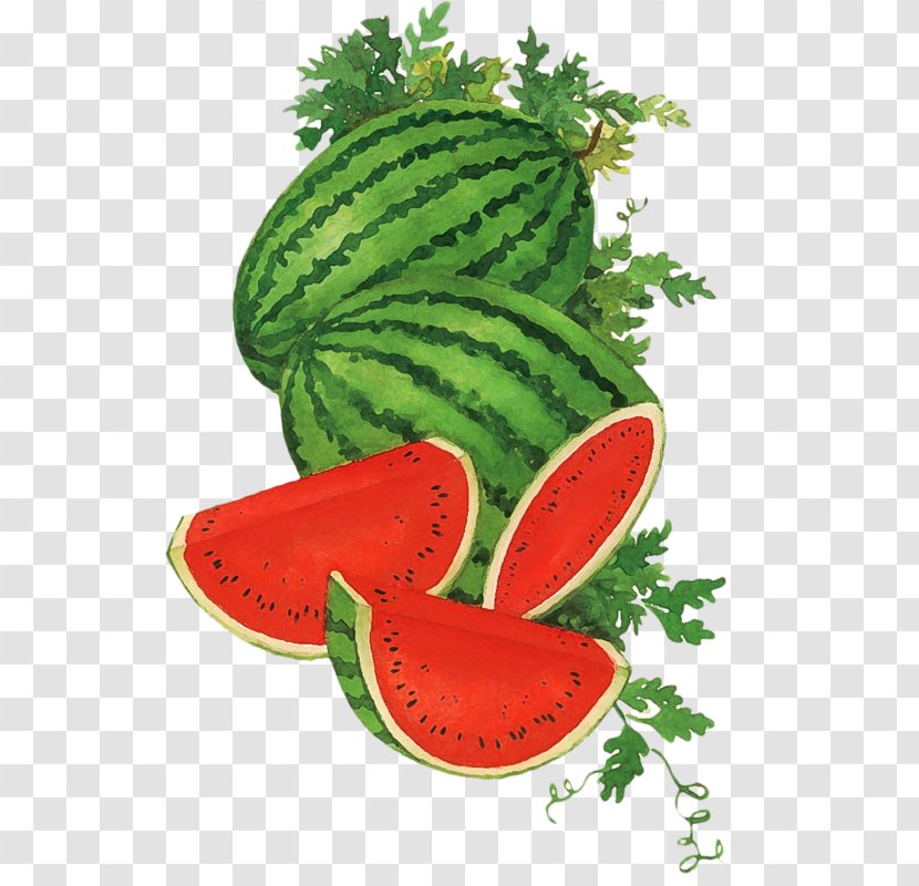 Watermelon Food Cucumber Honeydew Transparent PNG