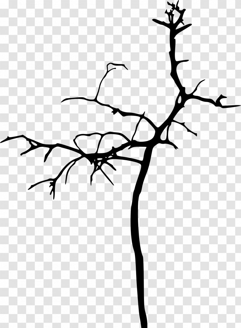 Tree Silhouette Branch Drawing Woody Plant - Black And White Transparent PNG